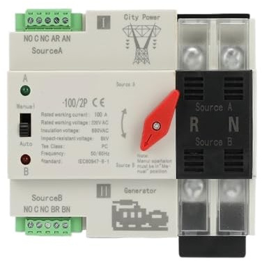 Interruttore di trasferimento automatico a doppia potenza 2P 100A millisecondi di commutazione ininterrotta(2P 63A)