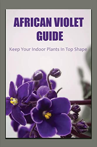 African Violet Guide: Keep Your Indoor Plants In Top Shape