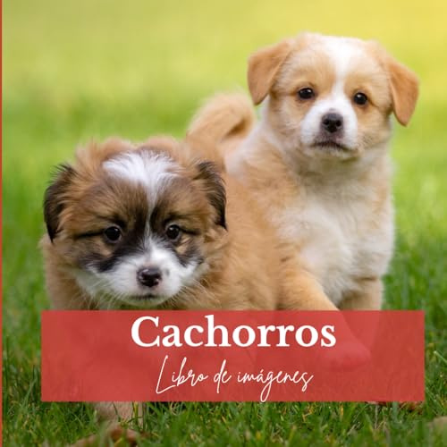 Cachorros: Libro de imágenes