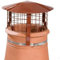 Brewer Birdguard Chimney Cowl - Solid Fuel