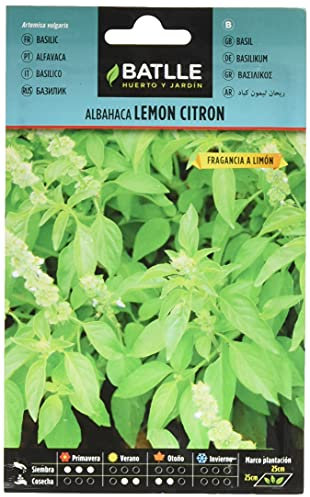 Semillas Batlle 097347BOLS