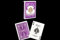 US Playing Card Co. Bicycle mit lila Rücken - Set von 54 Karten Format Poker