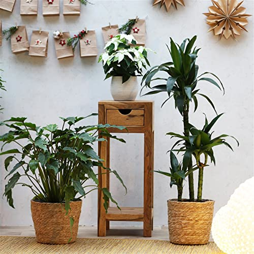 MJC Yoga Tisch Blumensäule aus Holz, Natur, 30 x 60 x 30 cm