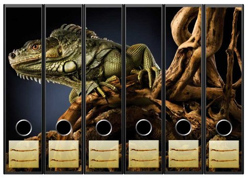 6 Ordnerrücken Motiv-Aufkleber GRÜNER LEGUAN - Format 65 x 300 mm - passend für 6 breite Standard Din-A4-Ordner mit 7,5 oder 8,0 cm Rückenbreite