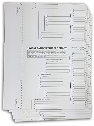 treeseek 15 generación Pedigree gráfico | 5 unidades | en blanco genealogía formas para familia historia y ascendencia trabajo