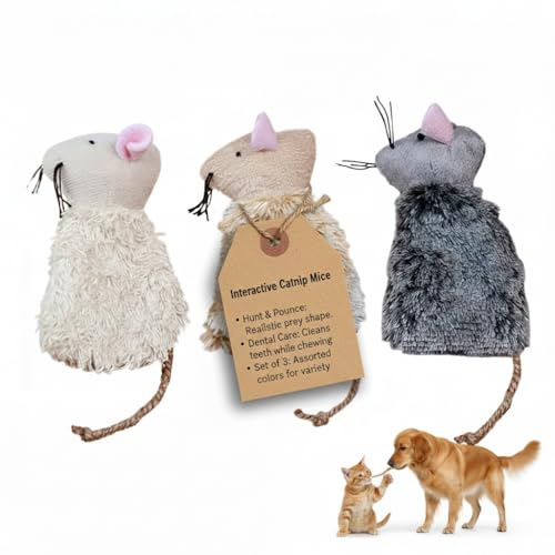 Ciieeo 3pcs Refillable Catnip Cat Toys for Indoor Cats & Kittens Plush Interactive Teething Chew Toy Mouse Shaped Catnip Pillow Assorted Colors