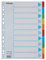 Esselte Register für A4, Deckblatt und 10 Trennblätter mit Taben, Blau/Mehrfarbig, Recyclingkarton, 100193