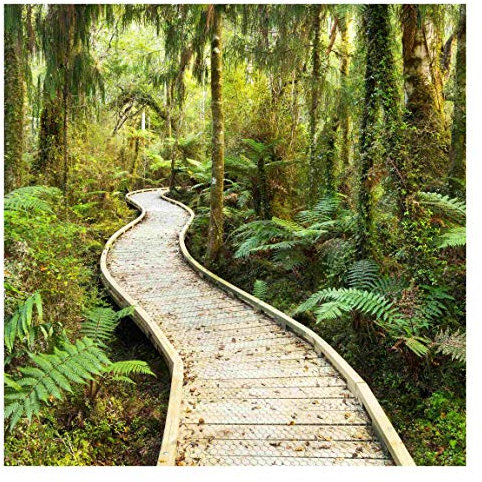 Vliestapete Pfad im Urwald Premium, HxB: 192cm x 192cm