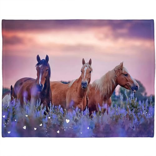 Violetpos Sunset Horses Fleece Blanket 150x200cm, Wild Horse Lavender Flower Field Printed Cozy Bed Throw, Warm Plush Decorative Sofa Couch Blanket