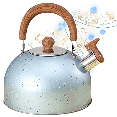 Lecerrot Hervidor inducción, hervidor silbato acero inoxidable 2L con asa, tetera tetera silbido, hervidor té silbido con mango resistente al calor, para todos los fuegos