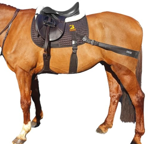 Sistema de banda equina. Ayuda de entrenamiento básico para zancadas y montar a caballo. Almohadilla multiusos y bandas de grado profesional Equine Balance Bands.
