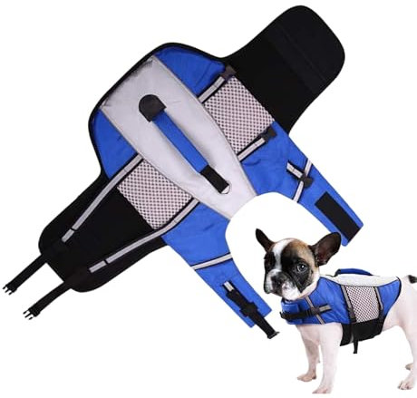 Jeruytgh Hundeschwimmweste, Hundeschwimmwesten für Bootfahren, reflektierende Streifen, Schwimmunterstützung für Outdoor, Kajak, Pool, Reisen, See, Bootfahren