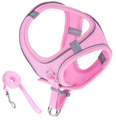Harnais pour Chat,Harnais Sécuritaire Souple Réfléchissant avec Laisse - Accessoires pour Chiens Et Chats Toutes Tailles Randonnée