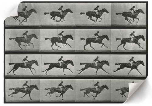 Lienzo Decorativo 42x29,7 cm | Tamaño A3 | Caballo al galope