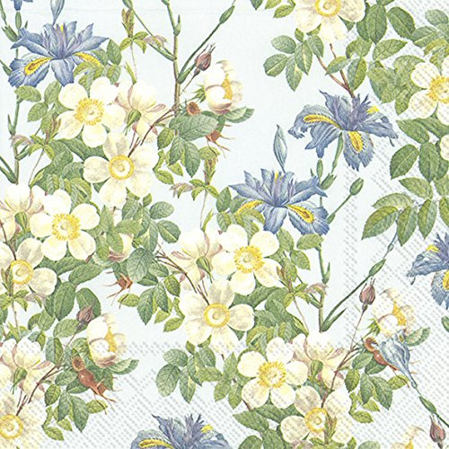 Kate hellblau mit Wild Rose Rosa creamihr Papier Lunch-Servietten 20 Stück 3 Ply 33 cm, quadratisch