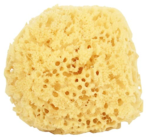 White Hinge Limited 2X Large Soft Honeycomb Bath Sponges - Yellow, Puff, Sea Sponge & Loofah, Natural Fiber, 2 Count