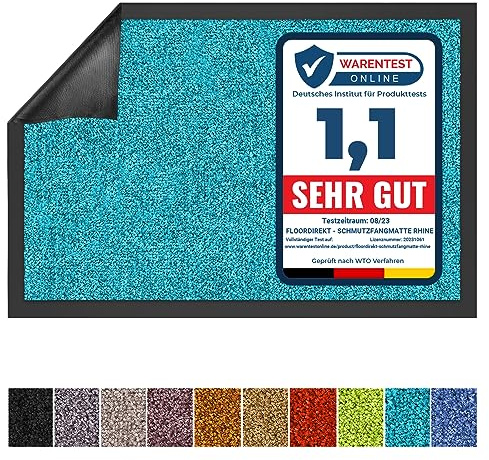 Floordirekt Schmutzfangmatte Rhine - waschbare & leistungsstarke Fußmatte - Sauberlaufmatte mit Rutschfester Rückseite - Türmatte für den Eingangsbereich (Türkis, 120 cm x 300 cm)