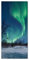 Wallario Selbstklebende Türtapete Polarlicht in Schweden - Türposter 93 x 205 cm Abwischbar, rückstandsfrei zu entfernen