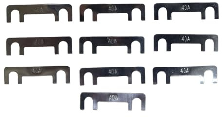 Voyoo Fusibles de Tira de 10 Unidades, 40 A, fusibles Planos, Repuesto para Coches, Camiones, caravanas, Motocicletas, Barcos