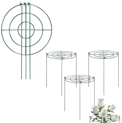 Supporti rotondi resistenti per piante, 30 x 40 cm, struttura di supporto per peonie, anelli in metallo per protezione verticale di ortensie, fragole e altro ancora, confezione da 6