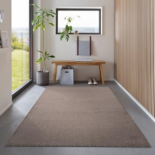 Carpetsale24 Teppich 160x230 cm Braun, Kurzflor, Einfarbig, Modern, Rechteckig, Pflegeleicht, Rutschhemmend, Bodenteppich für Wohnzimmer, Schlafzimmer, Essbereich