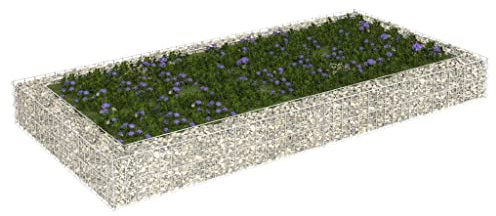 Baziroo Jardinière surélevée gabion en acier galvanisé - 200 x 100 x 20 cm - Argenté - Bac à gabions - Jardinière surélevée en métal - Remplissage de fleurs - Jardinière de jardin - Jardinière en