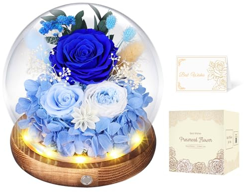 Preserved Roses in Glass Dome with LED Light, Gifts for Women (Blue) | Real Flowers for Delivery,Forever Eternal Roses, Gift Box&Card, Birthday gifts for Mum Wife Her, Anniversary Christmas Gift