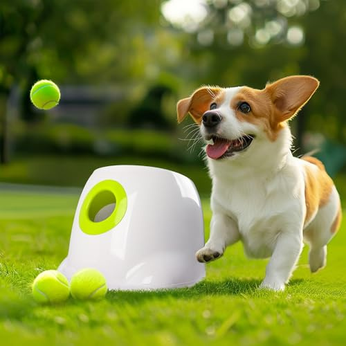 AFP Automatic Ball Launcher for Dogs Dog Fetch Ball Thrower Interactive Puppy Pet Ball Launcher for Small & Medium Dogs Indoor/Outdoor Dog Ball Thrower Machine 3 Balls Included (2 inch)