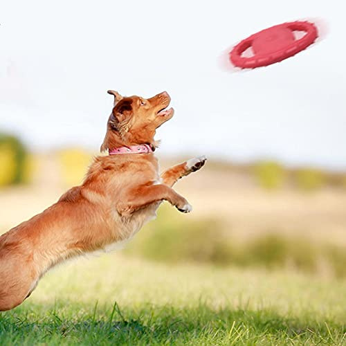 Irishom Disque Volant pour Chien, EVA de Haute Qualité, avec Poignées Doubles, Jouets pour Chiens, Activité Extérieur, Antidérapante, Rouge