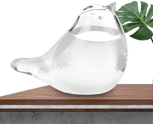 Verre De Tempête - Globe De Prédicteur Météorologique, Décoration Baromètre Des Oiseaux | Outil D'affichage Des Prévisions De Cristaux, Sculpture Météorologique De Bureau Pour La Décoration De La Tabl