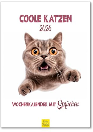 Edition Seidel Calendario de pared prémium con gatos frescos 2026, formato DIN A4, calendario de pared con refranes y citas, animales, gato, gatito, gatito
