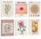 KAIRNE Abstract Wall Art Prints Framed,Vintage Master Wall Decor,Cute Matisse Prints Canvas for Living Room Set of 6 Pieces (8x10inch),Boho Flower Market Art Print,Aesthetic Poster for Bedroom Office