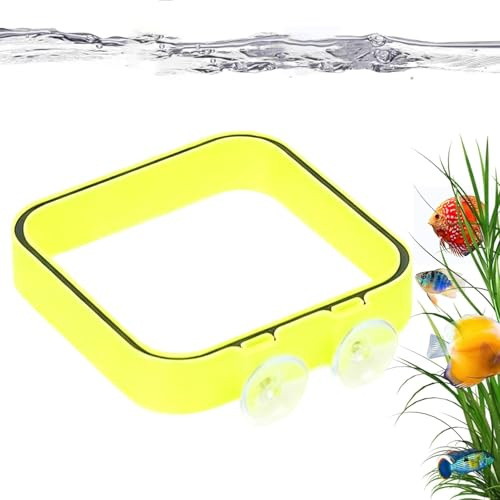 Distribuidor de comida para peces, recipiente alimentador de aspiración con | Alimentador para acuario | para aficionados y familias con tanque de agua salada para interiores y exteriores