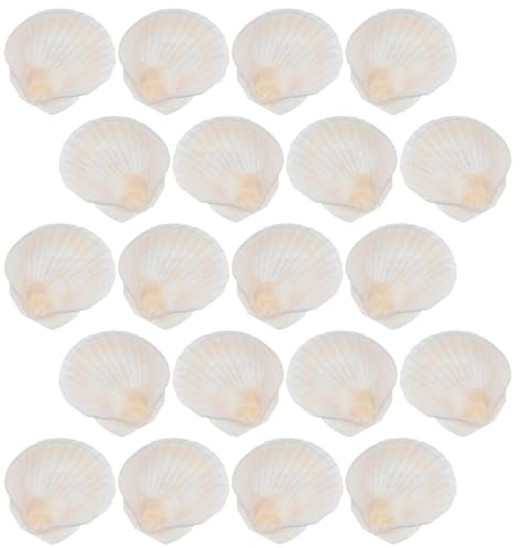 Veemoon Ornements en Coquillage pour Bricolage, Lot de 20 Pièces | Blanc, Coquilles Décoratives en Lot, Usage Cuisson au Four et Service Alimentaire, Thème Plage
