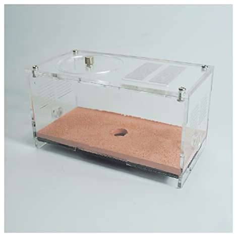 Unendliche Erweiterung Ameisenfarm Beton AntHouse Formicarium Ameisennest Mit Fütterungsbereich Ameisen Haus Insekt Villa Ameisenhaufen Werkstatt Ant Farm Futterbox (Color : A)