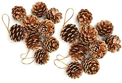 Christmas Decorations Pine Cones,18 Pieces Pine Cones Natural Ornaments with Strings Party Hanging Crafts Gold/Silver Colors for Christmas Tree Decoration,2 Size Christmas Pine Cones (Glod)