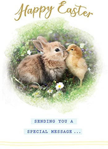 Easter Card Open Bunny & Chick - 7 x 5 inches - Regal Publishing
