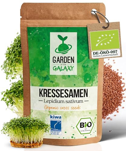 GotG® - Semi di broccoli biologici (25 g, 200 g e 500 g), semi di broccoli ad alto contenuto di sulforafano grazie alla varietà Brassica rapa sylvestris fino al 99% di germinazione – germogli di