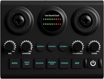 TYREE Scheda audio per microfono scheda audio live scheda audio per prestazioni di canto per microfoni e strumenti musicali