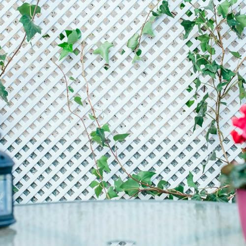 Nortene | Celosia Pvc 18 Mm 1x2 M Blanco | Decoración Exterior | Jardinería | Perfecto Para Ambientes Modernos