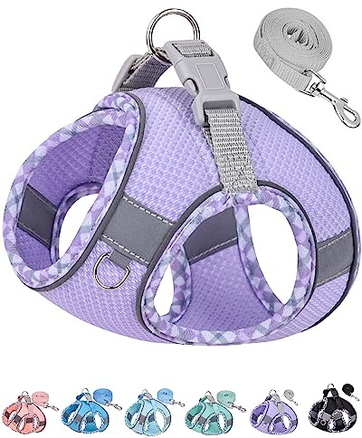 Petank Dog Harness for Small Medium Dogs No Pull, Puppy Harness and Leash Set, Step in Dog Harness for Walking, Running, Training, Small Dog Vest(Purple, S)
