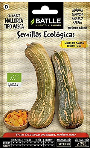 Semillas Batlle Calabaza Mallorca - ECO