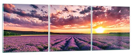 Vidrios decorativos lavanda montañas campo Cuadro Sobre Vidrio Moderno 90x30cm Decoracion Salon Cocina Cuadros Pared Impresiones Tríptico 3 Piezas Impresión en Cristal Wall Art Prints GCA90x30-3816