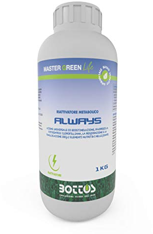 Bottos Engrais pour pelouse Always Master Green Life 1 kg