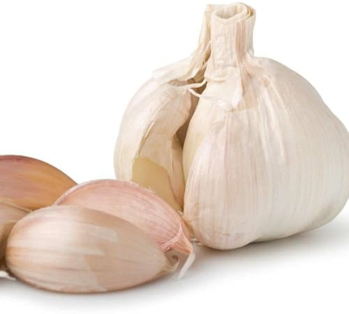 Buy4seeds 15Pcs Seed German Giant Garlic Fresh Cloves Seeds from Large Bulb Planting Now 2021 Useful for Gardening (15 Seeds)