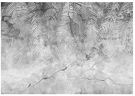 Fototapete Federn Palmenblätter Pflanzen grau Beton Vintage Retro - inkl. Kleister - für Wohnzimmer Schlafzimmer Flur Modern Vlies Tapete Vliestapete Wandtapete Motivtapeten Montagefertig (416x254 cm)