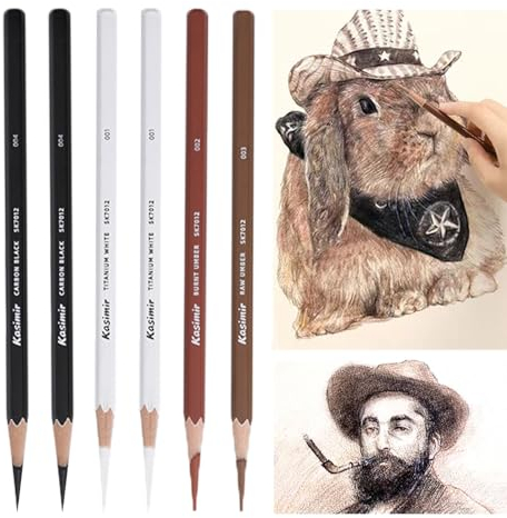 6 Stück Bunte Holzkohlestifte zum Zeichnen 4 Farben Kohle Set Zeichenkohle Zeichenstifte Set zum Skizzieren, Schattieren, Vermischen, Porträt Professionelle Skizzierstifte für Anfänger und Künstle