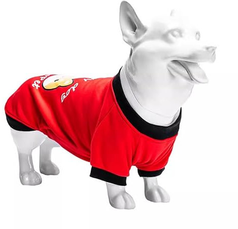 Elitix Maniqui Lindo Maniquí dDe Perro para Exhibir Collares, Ropa, Arneses y Zapatos de Corgi, Linda Estatua de Perro, Escultura Decorativa para Interiores y Exteriores, Accesorios de Decoración