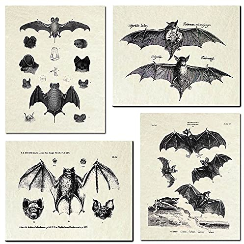KIHOARL Fledermäuse Wanddekoration, Fledermäuse, Wandkunst, Leinwanddruck, Vintage, Retro, Hipster, Gothic, Gothic, Geschenke, gruselig, gruselig, anatomisches Bild, Poster für Zuhause, Wohnzimmer,