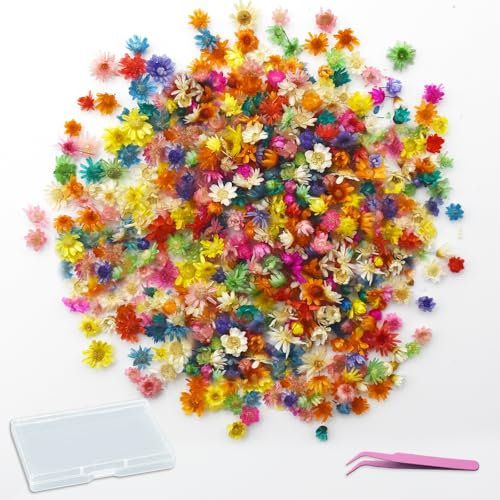 PXBSNB 420 Stück Trockenblumen zum Basteln, Mini Trockenblumen, Natürliche Getrocknete Blumen, Bunte Trockenblumen Klein, Trockenblumen Deko für DIY Seife Nagel Duftkerzen Scrapbooking Harzarbeiten